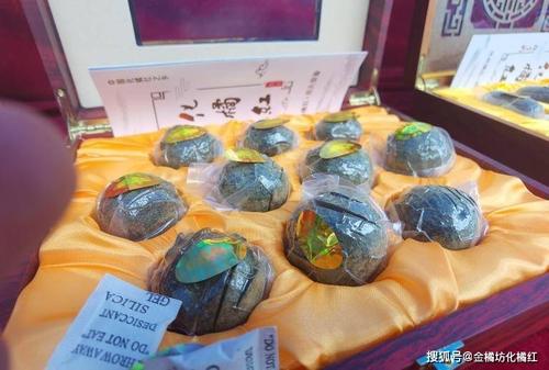 化州舉辦化橘紅文化藝術(shù)交流暨封壇活動(dòng) 傳承千年文化，共襄盛舉