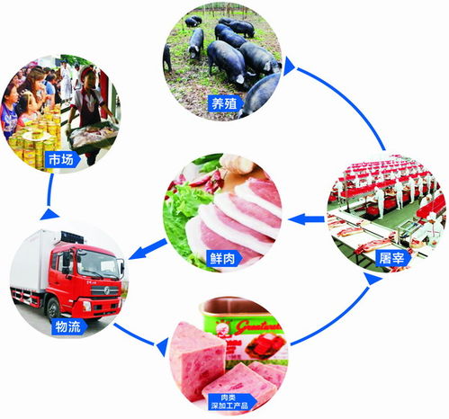 肉類產(chǎn)品食材批發(fā)與互聯(lián)網(wǎng)信息服務(wù) 融合創(chuàng)新，賦能行業(yè)新生態(tài)