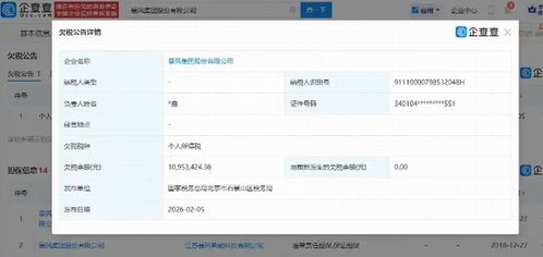 暴風(fēng)集團深陷債務(wù)漩渦 欠稅超千萬，未履行債務(wù)逾8億，互聯(lián)網(wǎng)服務(wù)前景堪憂